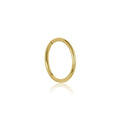 Nose/Cartilage Hoop