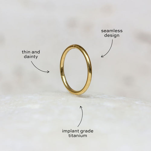 Nose/Cartilage Hoop
