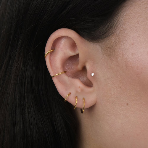 Nose/Cartilage Hoop