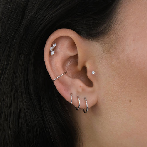 Nose/Cartilage Hoop